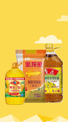 投资收藏的绝佳典范